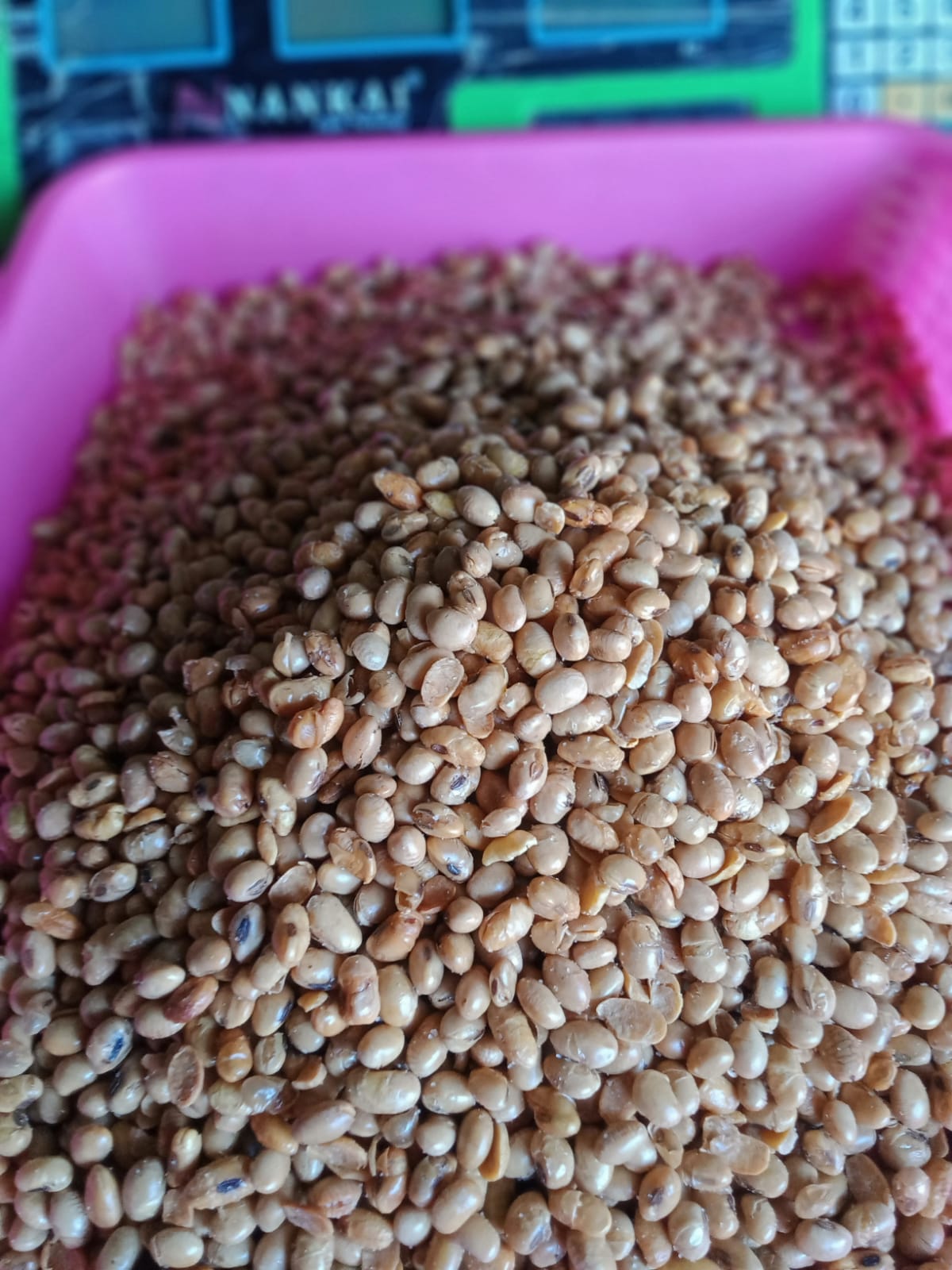 KACANG KEDELAI 250 gr